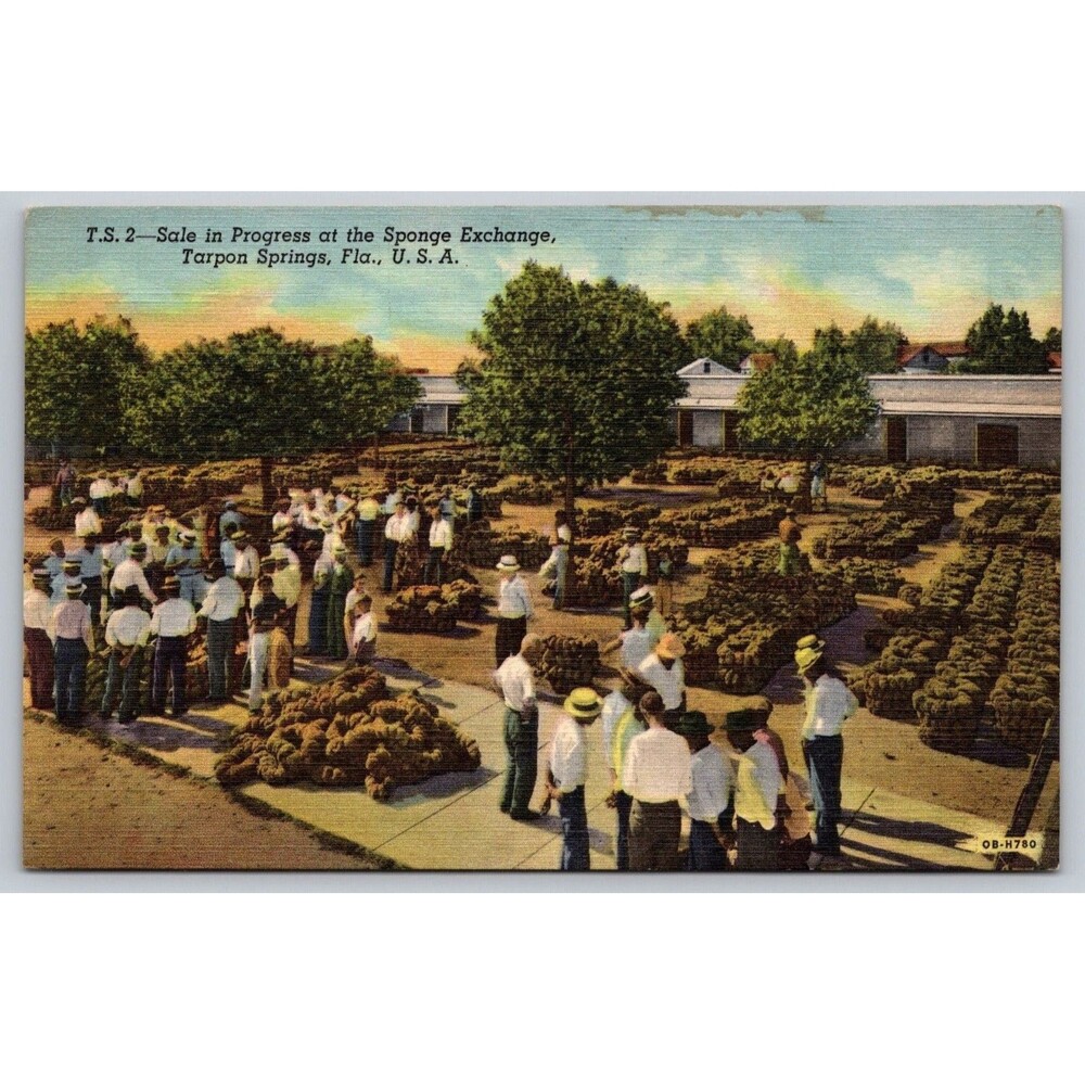 Vintage 1940 Tarpon Springs Florida Linen Postcard Sponge Exchange T.S. 2